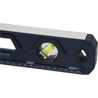 High-Accuracy Level, Box, 2' L, Aluminum, 3, Non-Magnetic Sidevic Inc.