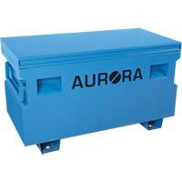 Jobsite Tool Box, 48" x 24" x 27-3/5", Steel, Blue Sidevic Inc.