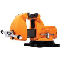 Mechanic's Bench Vise with Anvil, 4" Jaw Width Sidevic Inc.