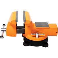 Mechanic's Bench Vise with Anvil, 8" Jaw Width Sidevic Inc.