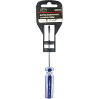Tournevis &agrave; fente bleu transparent avec bandes , Tige de 1/8", Ronde, Prise en Plastique Sidevic Inc.