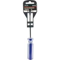 Tournevis &agrave; fente bleu transparent avec bandes, Tige de 3/16", Ronde, Prise en Plastique Sidevic Inc.
