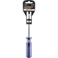 Tournevis &agrave; fente bleu transparent avec bandes, Tige de 1/4", Ronde, Prise en Plastique Sidevic Inc.
