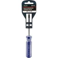 Tournevis Philips bleu transparent avec bandes, #1, Prise Plastique Sidevic Inc.
