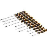 Jeu de tournevis bimat&eacute;riau Torx dans un plateau de rangement en mousse, 10 mcx Sidevic Inc.