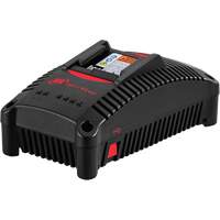 Chargeur de batterie IQV40, 40 V, Lithium-ion Sidevic Inc.
