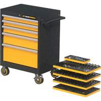 Mechanics Tool Set in Modular Foam Trays with Storage Unit, 247 Pieces Sidevic Inc.