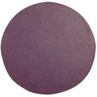 Replacement Sanding Pad, 6" Dia. Sidevic Inc.