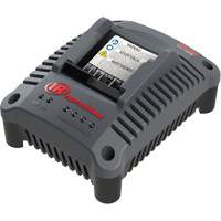 Chargeur de batterie compact IQV20, 20 V, Lithium-ion Sidevic Inc.