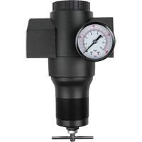 Aluminum Regulator, 1-1/2" NPT, 300 psi Max. PSI, In Line Sidevic Inc.