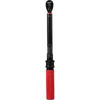 Cl&eacute; dynamom&eacute;trique, &agrave; cliquer, Entraînement 3/8" carr&eacute;, 20 - 100 lb-po/27,1 - 135,6 Nm Sidevic Inc.