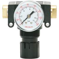 MODULAIR 200 Acetal Piston Regulator, 1/4" NPT, 150 PSI Max. PSI, In Line/Modular Sidevic Inc.