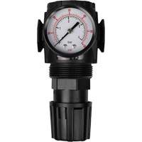 MODULAIR 300 Compressed Air Regulator, 1/2" NPT, 300 psi Max. PSI, In Line/Modular Sidevic Inc.