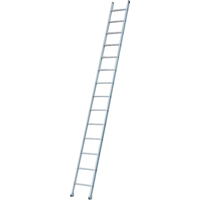 Industrial Heavy-Duty Extension/Straight Ladders, 8', Aluminum, 300 lbs., CSA Grade 1A Sidevic Inc.