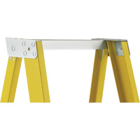 Industrial Heavy-Duty Platform Stepladders (6500 Series), 6', 300 lbs. Cap. Sidevic Inc.