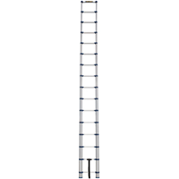 Telescopic Ladder, 3' - 15.5', Aluminum, 250 lbs. Capacity, Type 1 Sidevic Inc.