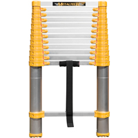 Telescopic Ladder, 3' - 12', Aluminum, 250 lbs. Capacity, Type 1 Sidevic Inc.