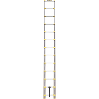 Telescopic Ladder, 3' - 12', Aluminum, 250 lbs. Capacity, Type 1 Sidevic Inc.