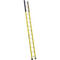 Single Manhole Ladder, 14', Fibreglass, 375 lbs., CSA Grade 1AA Sidevic Inc.