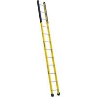 Single Manhole Ladder, 12', Fibreglass, 375 lbs., CSA Grade 1AA Sidevic Inc.