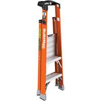 Safespace Platform Step Ladder, 2', 300 lbs. Cap. Sidevic Inc.