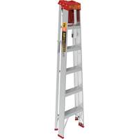 Step Ladder with Paint Tray, 6', Aluminum, 200 lbs. Capacity, Type 3 Sidevic Inc.