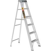 Step Ladder, 6', Aluminum, 225 lbs. Capacity, Type 2 Sidevic Inc.
