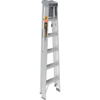 Step Ladder with Paint Tray, 6', Aluminum, 225 lbs. Capacity, Type 2 Sidevic Inc.