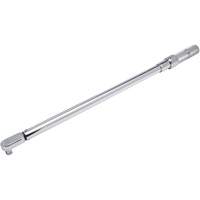 Fixed Head Micrometer Torque Wrench, Click, 1/2" Square Drive, 50-250 ft-lbs. Sidevic Inc.
