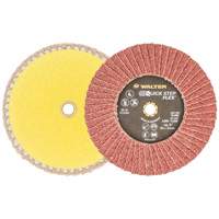 QUICK-STEP FLEX, 5" x Type 29, 40 Grit, Aluminum Oxide Sidevic Inc.