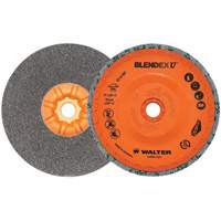Blendex U Finishing Cup Disc, 5" Dia., Fine Grit, Silicon Carbide Sidevic Inc.