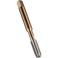 Taraud &agrave; main pour usage g&eacute;n&eacute;ral, Acier rapide, Filet M10x1,25 Sidevic Inc.