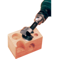 Super Forstner Bits, 1/4", 5/16" Shank, 3-1/2" Length Sidevic Inc.