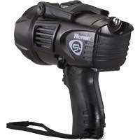 Waypoint&reg; Pistol Grip Spotlights, LED, 550 Lumens, C Batteries Sidevic Inc.