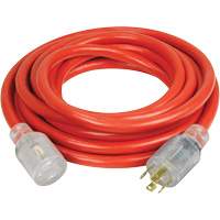 Generator Extension Cord with Quad Tap, Outdoor, 10 AWG, 30 A, 4 Outlet(s), 25' Sidevic Inc.