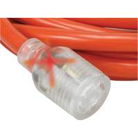 Generator Extension Cord with Quad Tap, Outdoor, 10 AWG, 30 A, 4 Outlet(s), 25' Sidevic Inc.