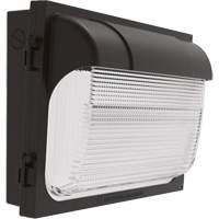 TWX Wall Luminaire, LED, 480 V, 9 W - 54 W, 14" H x 18" W x 5" D Sidevic Inc.