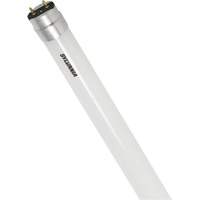 Ampoule DEL en verre givr&eacute; SubstiTUBE, 12 W, T8, 5000 K, 48" l Sidevic Inc.