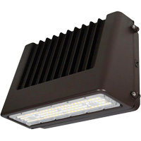 Luminaire mural, DEL, 120 V, 80 W, 6,5" ha x 9,3" la x 14,4" p Sidevic Inc.
