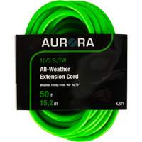 Cordon rallonge de calibre industriel, Toutes saisons, SJTW, AWG 10/3, 15 A, 50' Sidevic Inc.