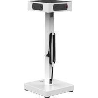 LuxPower Charging Tower Sidevic Inc.